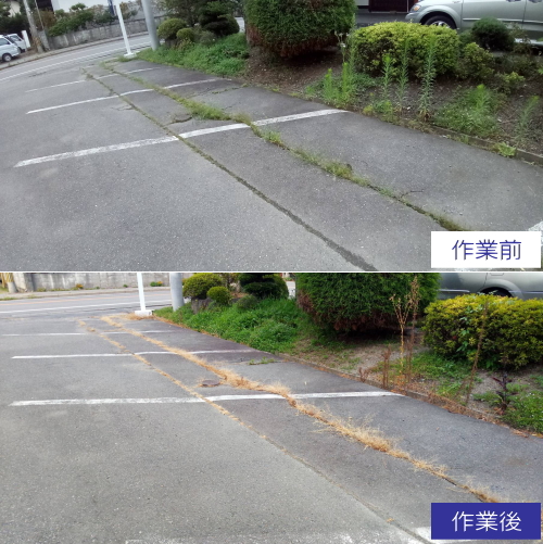 除草剤4