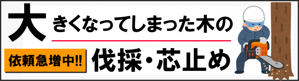 伐採・芯止め