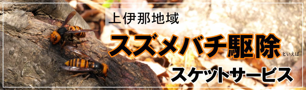 スズメバチといえばスケットサービス