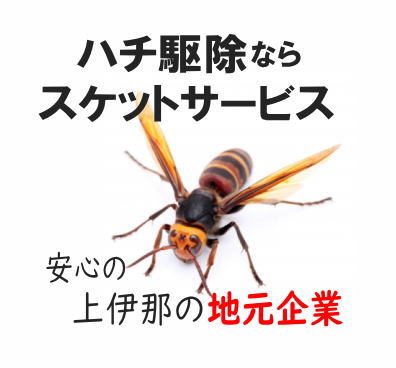 ハチサムネ